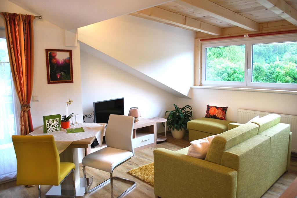 Apartments Saalachtal ローファー エクステリア 写真
