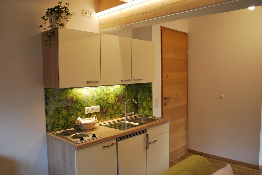 Apartments Saalachtal ローファー エクステリア 写真